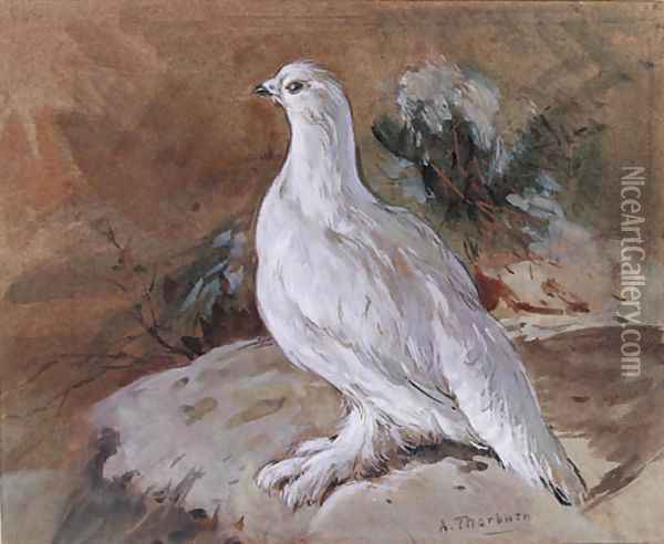 A Ptarmigan resting Oil Painting - Archibald Thorburn