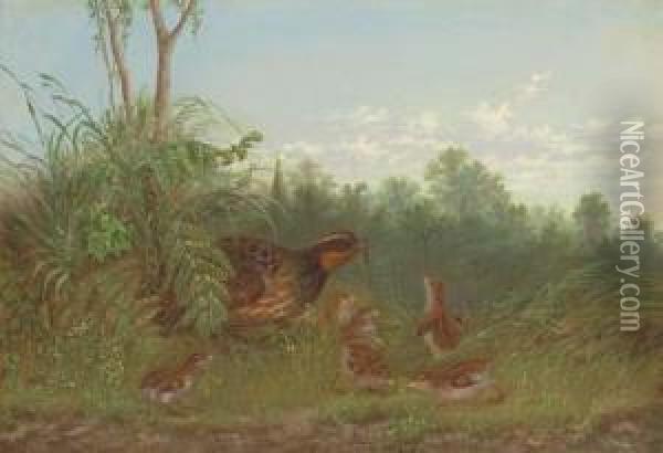A Quail Feeding Her Chicks Oil Painting - Howard Hill