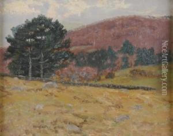 Hillside Oil Painting - Ben Foster