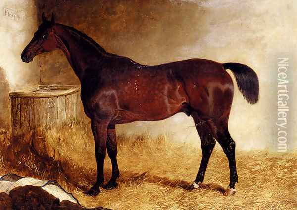 Flexible, A Chestnut Racehorse In A Loose Box Oil Painting - John Frederick Herring Snr