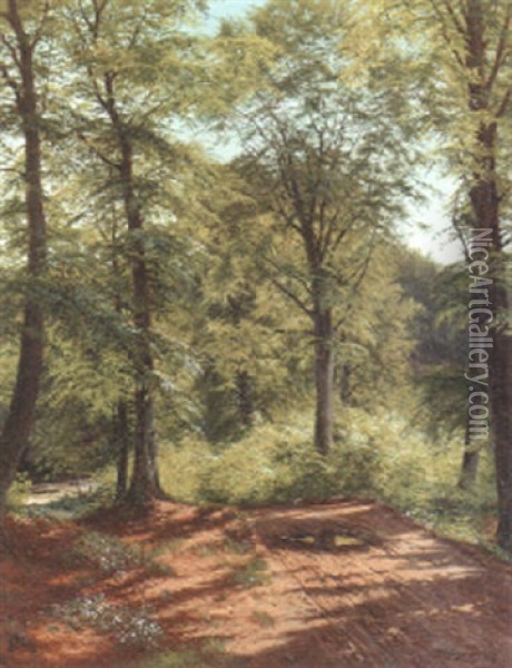 A Sunlit Country Lane Oil Painting - Carl Milton Jensen