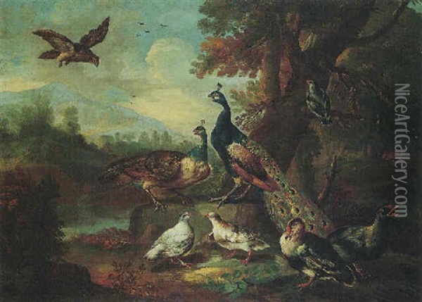 An Autumnal Landscape With A Falcon, Two Peacocks, And Other Poultry Oil Painting - Angelo Maria (Crivellone) Crivelli