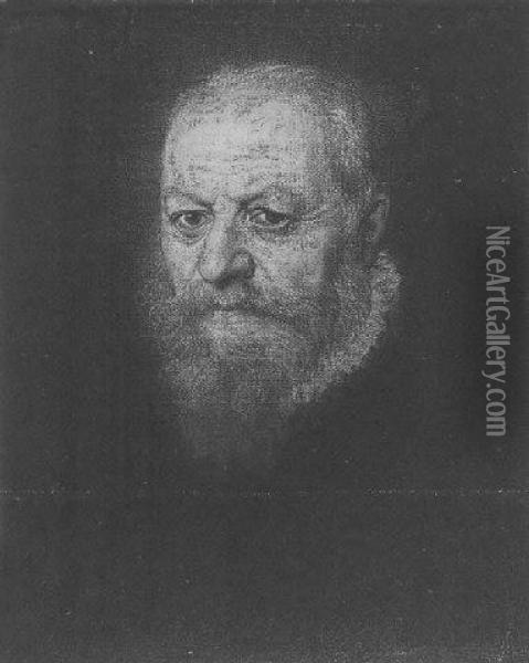 Portrait Of A Man Oil Painting - Jacopo Robusti, II Tintoretto