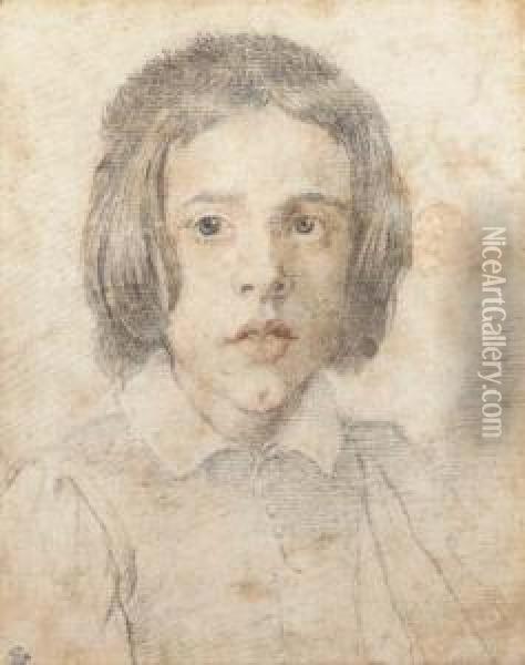 A Young Boy With Long Hair, Bust-length Oil Painting - Gian Lorenzo Bernini