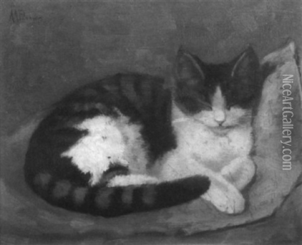 Kitten Sleeping On A Cushion Oil Painting - Agnes A. Brown
