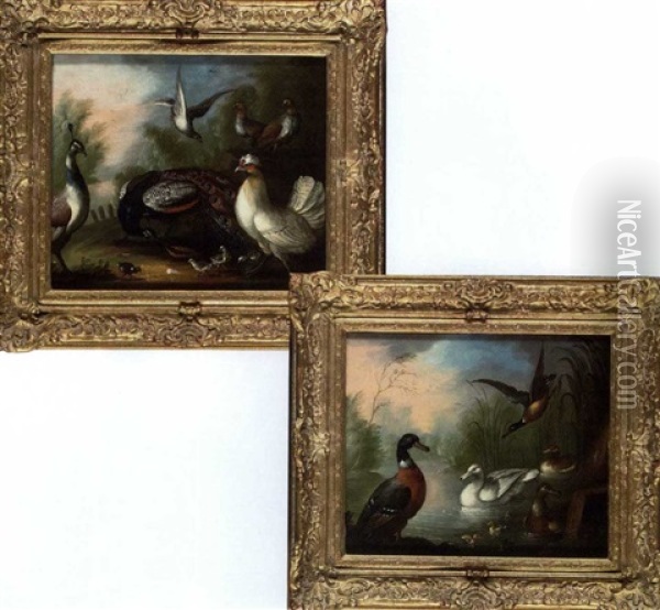 Peacocks, Poultry And Doves In A Wooded Landscape (+ Ducks In A River Landscape; Pair) Oil Painting - Marmaduke Cradock