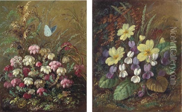 Cross-leaved Heath (+ Primroses And Violets, 1893; 2 Works) Oil Painting - Albert Durer Lucas