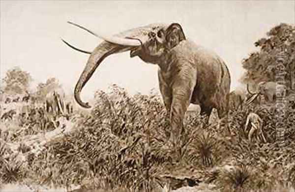 The Chatham Elephant Oil Painting - Amedee Forestier