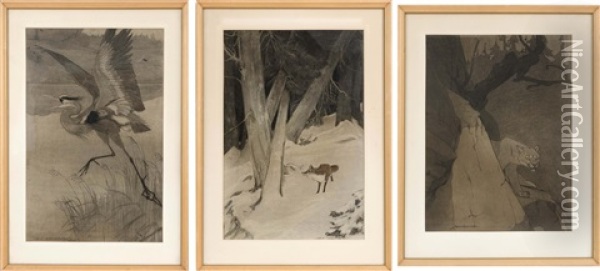 Three Wildlife Illustrations Depicting A Crane, A Prowling Tiger Or A Fox Oil Painting - Charles Livingston Bull