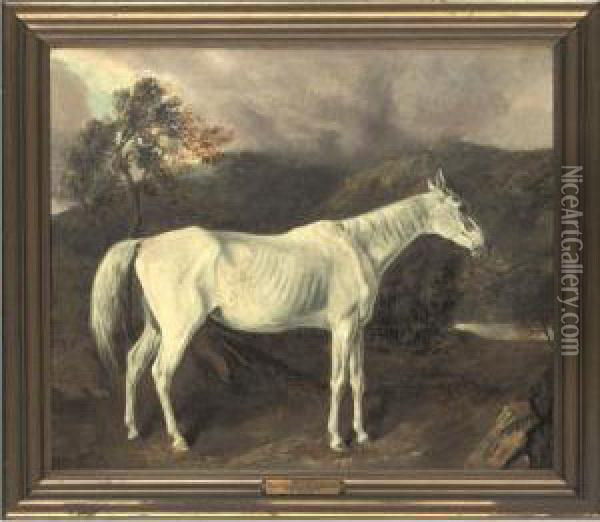 Reality By Sir Archy Out Of A Mare By Old Medley Oil Painting - Edward Troye