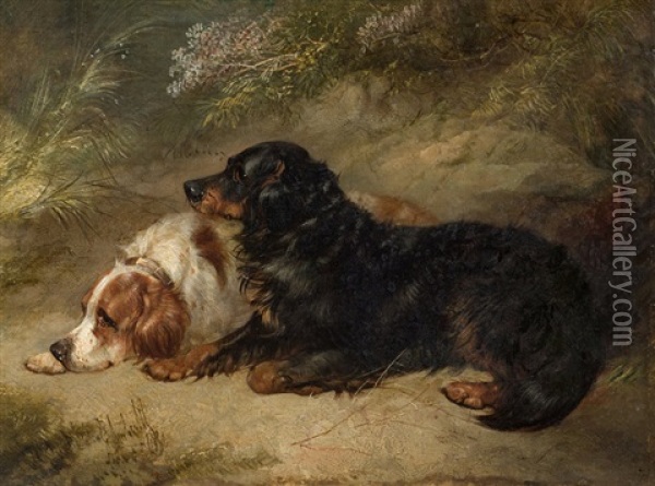 Zwei Liegende Hunde Oil Painting - George Armfield