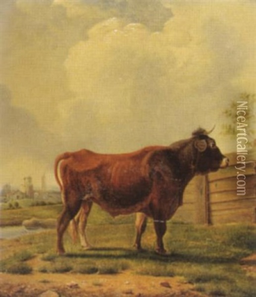 Stier Auf Der Weide Oil Painting - Alfred De Knyff