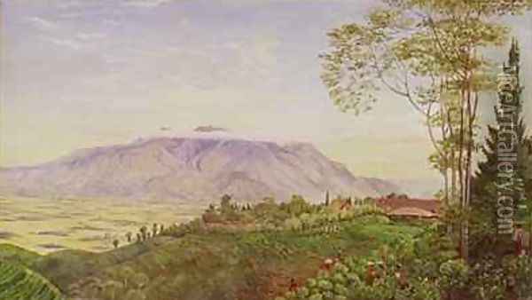 Tea Gathering in Mr Hoelles plantation at Garoet Java 1875 Oil Painting - Marianne North