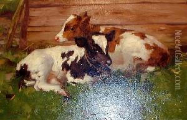 Two Calves Lying By A Fence Oil Painting - David Gauld