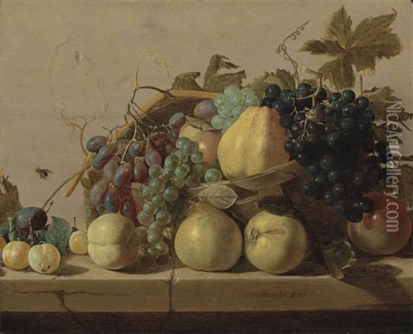 Grapes And Pears In A Woven Basket, With Pears, Peaches, Apricots And A Plum On A Stone Ledge, With A Fly On The Stone Wall Oil Painting - Nicolaes (Claes) Heussen
