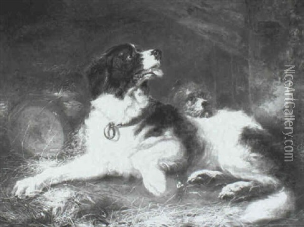 Two Dogs In A Barn Oil Painting - Zacharias Noterman