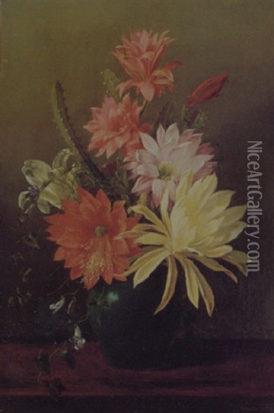 Still Life With Cactus Blooms Oil Painting - Juan Buckingham Wandesforde