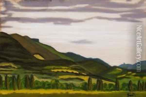 Hills In Nagybanya Oil Painting - David Jandi