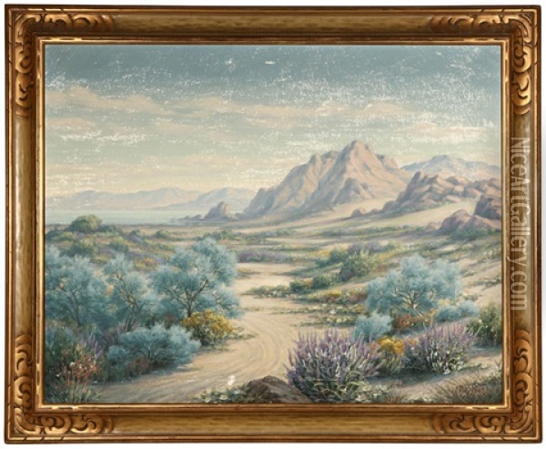 California Desert In The Spring Oil Painting - Marius Smith