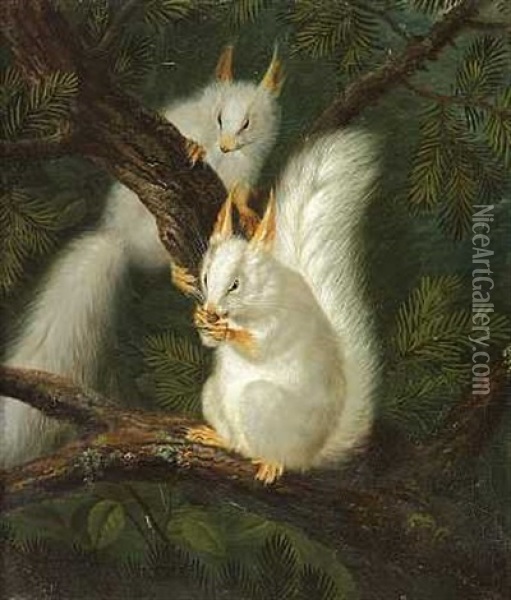To Hvide Egern I Et Grantrae Oil Painting - Johann Friedrich Seupel