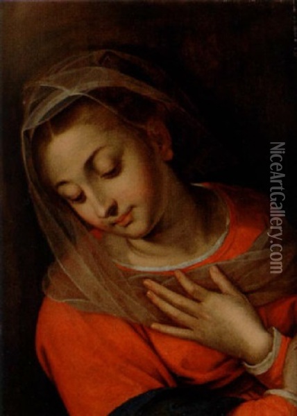 Madonna Oil Painting - Ercole Procaccini the Elder
