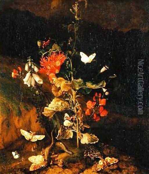 Flower Study Oil Painting - Otto Marseus van Schrieck