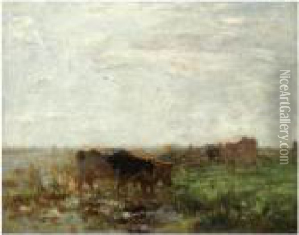 Cows At Pasture Oil Painting - Willem Maris