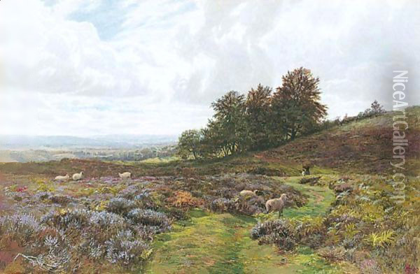 Sheep Grazing On A Moorland Oil Painting - George Vicat Cole
