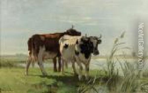 Zwei Weidende Kuhe Am Kanal. Oil Painting - Cornelis I Westerbeek