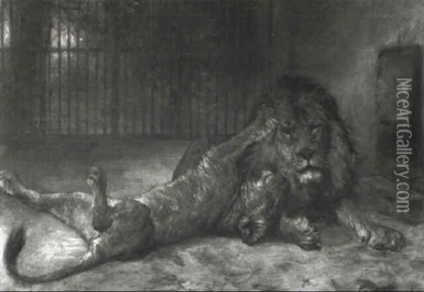 Ein Lowenpaar Im Berliner Zoo Oil Painting - Paul Friedrich Meyerheim