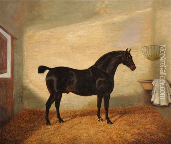 A Bay Hunter In A Stable; A Dark Bay Hunter In A Stable Oil Painting - Albert Clark