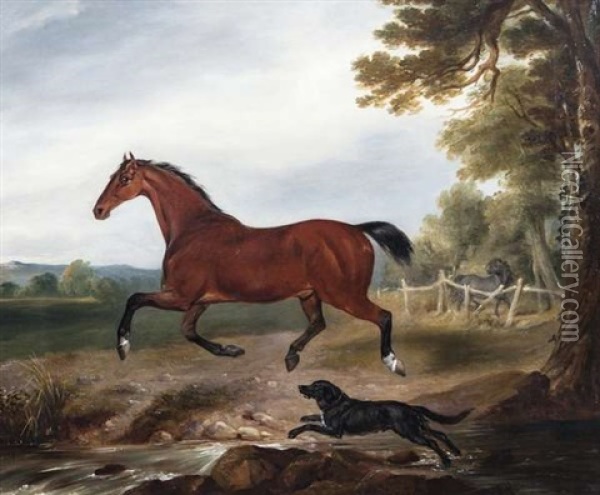 A Bay Stallion With A Dog In A Landscape Oil Painting - William Brocas