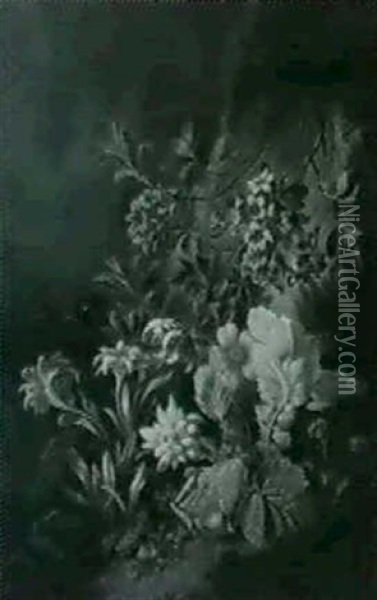 Alpenblumen Am Felshang Oil Painting - Josef Schuster