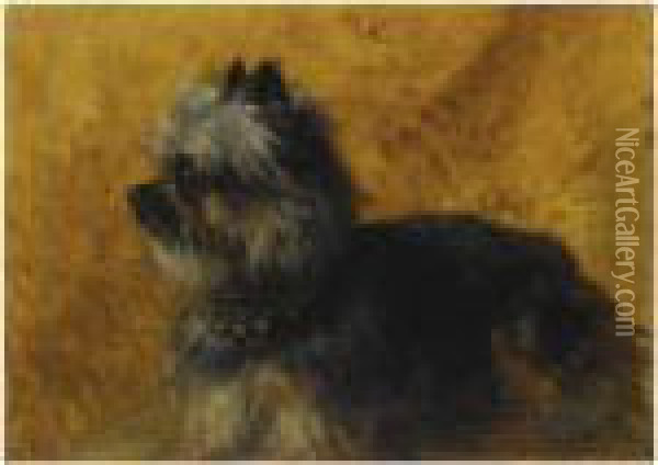 A Yorkshire Terrier Oil Painting - Henriette Ronner-Knip