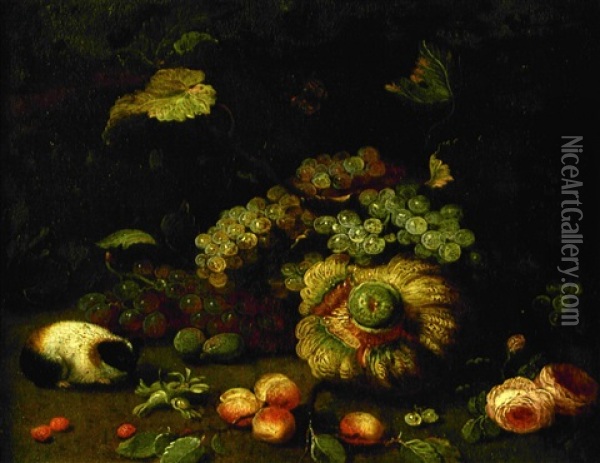 Nature Morte Aux Raisins, Citrouille Et Hamster Oil Painting - Jan van Kessel the Elder