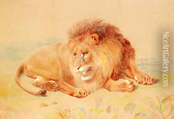 Lion Oil Painting - William Huggins