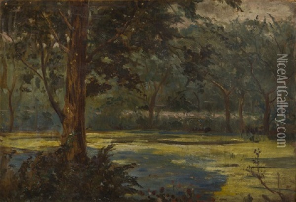 Forest Landscape Oil Painting - Wincenty Wodzinowski