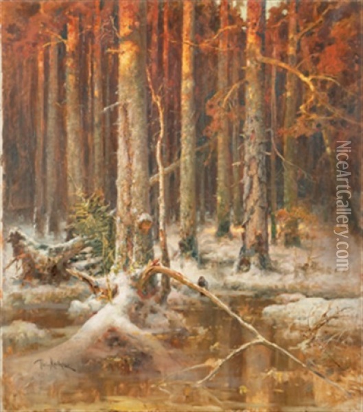 Sunset In The Forest Oil Painting - Yuliy Yulevich (Julius) Klever