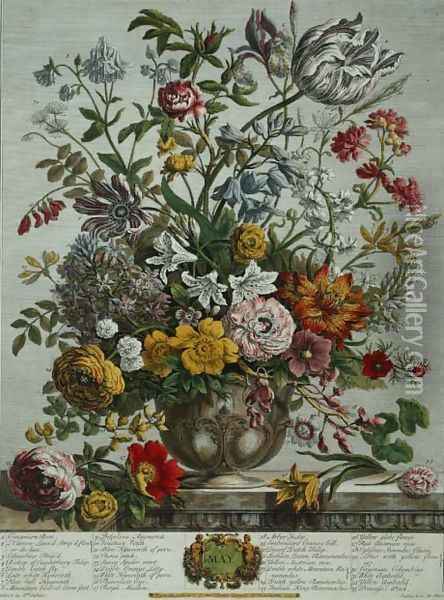 May, from 'Twelve Months of Flowers' Oil Painting - Pieter Casteels