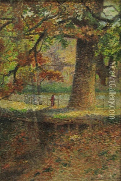 Autumn In The Forest Oil Painting - Dimitrie N. Cabadaieff