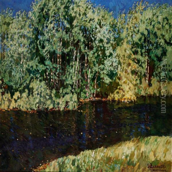 Windy Summer Day With Birches At A River Oil Painting - Stanislaw Zukowski