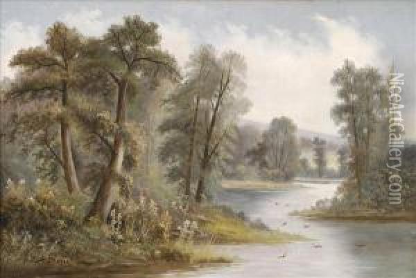 Wooded River Scene Oil Painting - Ada Stone