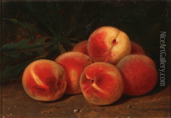 Still Life With Peaches Oil Painting - George Harvey