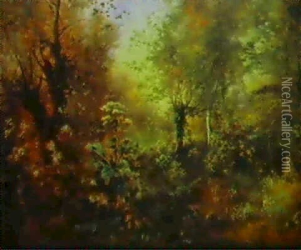 Le Sous-bois En Fleurs, Pres Du Ruisseau A Pont-aux-dames Oil Painting - Antoine Chintreuil