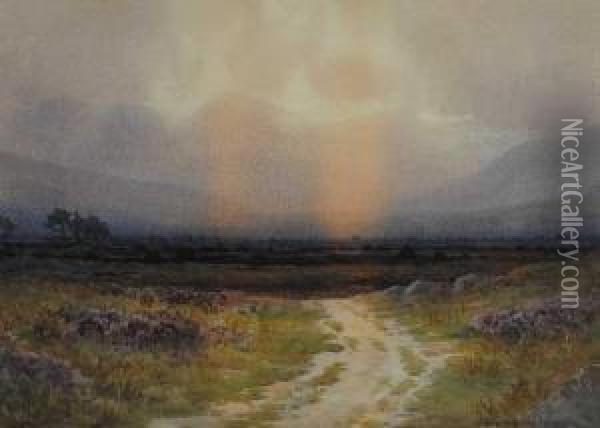 Bog Sunset, Possibly County Kerry Oil Painting - George, Captain Drummond-Fish