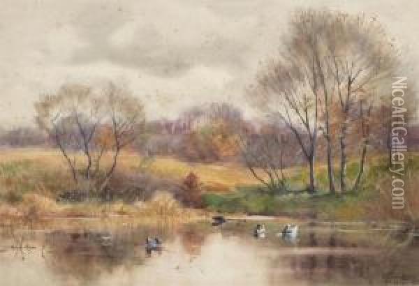 The 
Duck Pond In Autumn Oil Painting - Alexander Theobald Van Laer