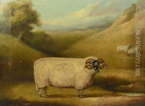 Naive Study Of A Curly Horned Ram In Landscape With Further Sheep Beyond Oil Painting - William Henry Davis