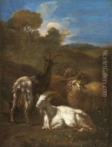 In Sommerlicher Landschaft Zwei Ziegen Und Zwei Schafe Ruhend Oil Painting - Adriaen Van Der Kabel