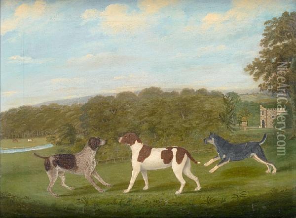 Three Hounds In A Wooded Landscape Oil Painting - I. Bryan