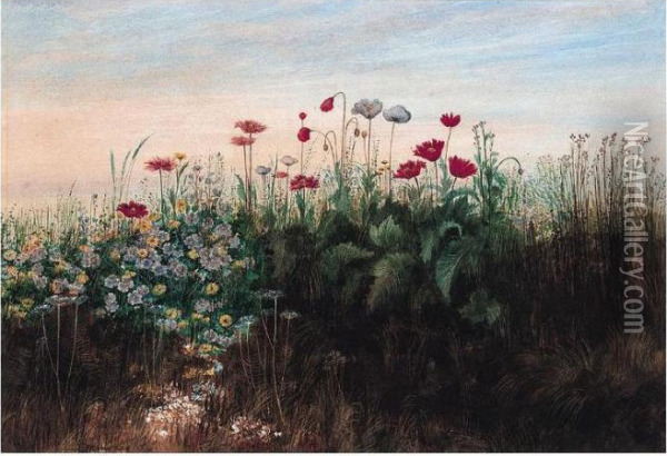 A Fringe Of Wild Flowers Oil Painting - Andrew Nicholl